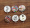 Handmade Round Photo Glass Cabochon Plant flower 937