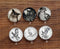 Handmade Round Photo Glass Cabochon Animal bird 953