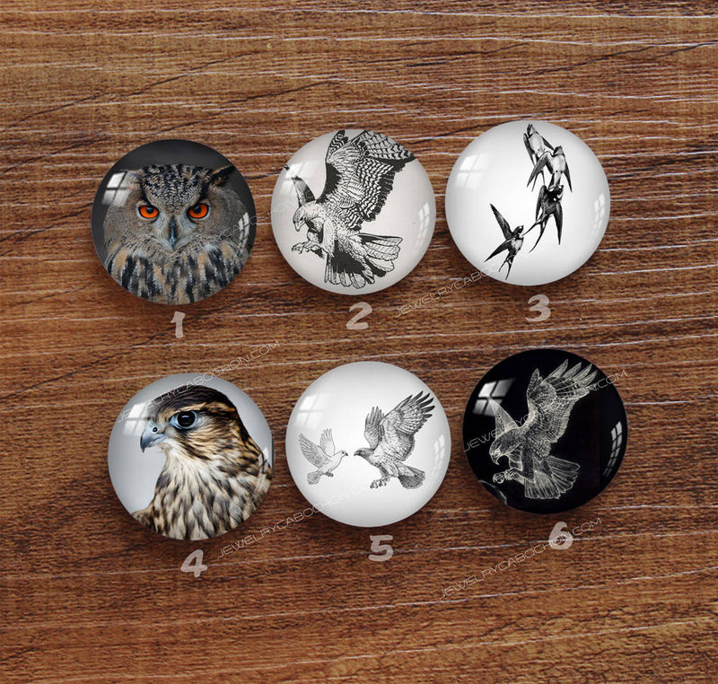 Handmade Round Photo Glass Cabochon Animal bird 959
