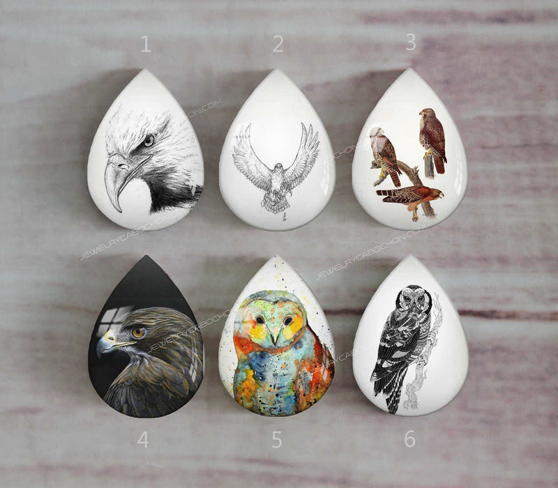 Handmade Teardrop Photo Glass Cabochons animal eagle A493