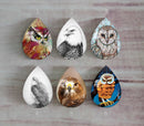 Handmade Teardrop Photo Glass Cabochons animal eagle A500