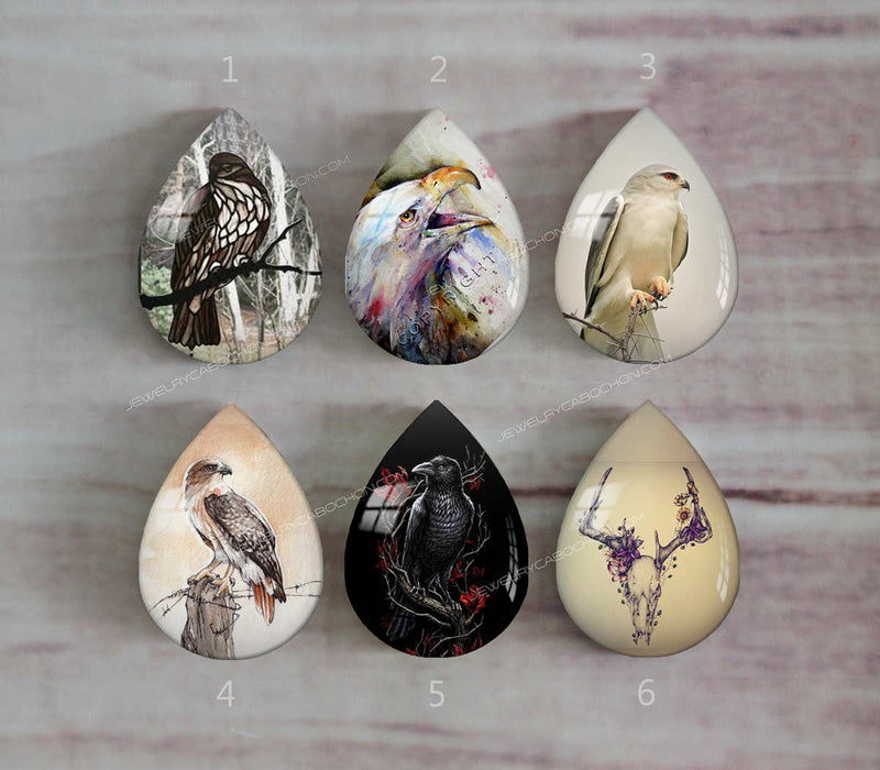 Handmade Teardrop Photo Glass Cabochons animal eagle A501