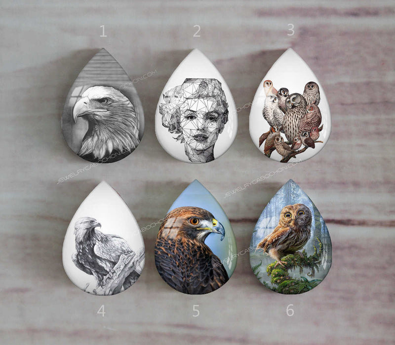 Handmade Teardrop Photo Glass Cabochons animal eagle A504