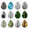 Handmade Teardrop Photo Glass Cabochons Leaves 6