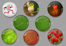 Handmade Round Photo Glass Cabachon Leaves 513