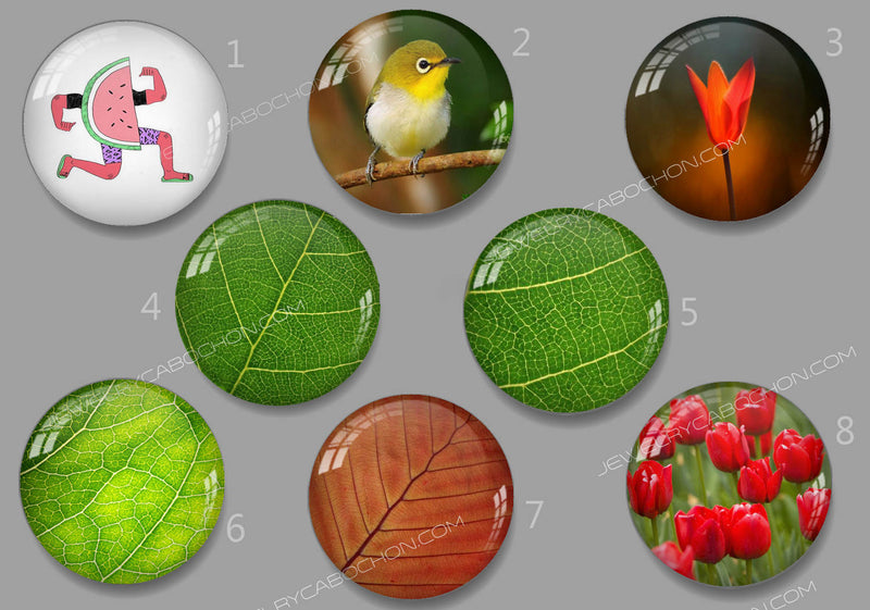 Handmade Round Photo Glass Cabachon Leaves 513