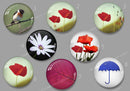 Handmade Round Photo Glass Cabachon flower 533