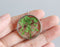 1pcs Green floral pressed flower jewelry, pressed flower pendant necklace, Real dried flower jewelry wholesale