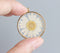 1pcs White chrysanthemum pressed flower jewelry, pressed flower pendant necklace, Real dried flower jewelry