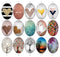 Handmade oval Photo Glass Cabochons tree 722