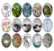 Handmade oval Photo Glass Cabochons flower 743