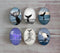 Handmade oval Photo Glass Cabochons animal A411