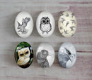 Handmade oval Photo Glass Cabochons animal eagle A490