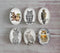 Handmade oval Photo Glass Cabochons animal eagle A491