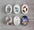 Handmade oval Photo Glass Cabochons animal eagle A492