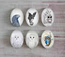 Handmade oval Photo Glass Cabochons animal eagle A494