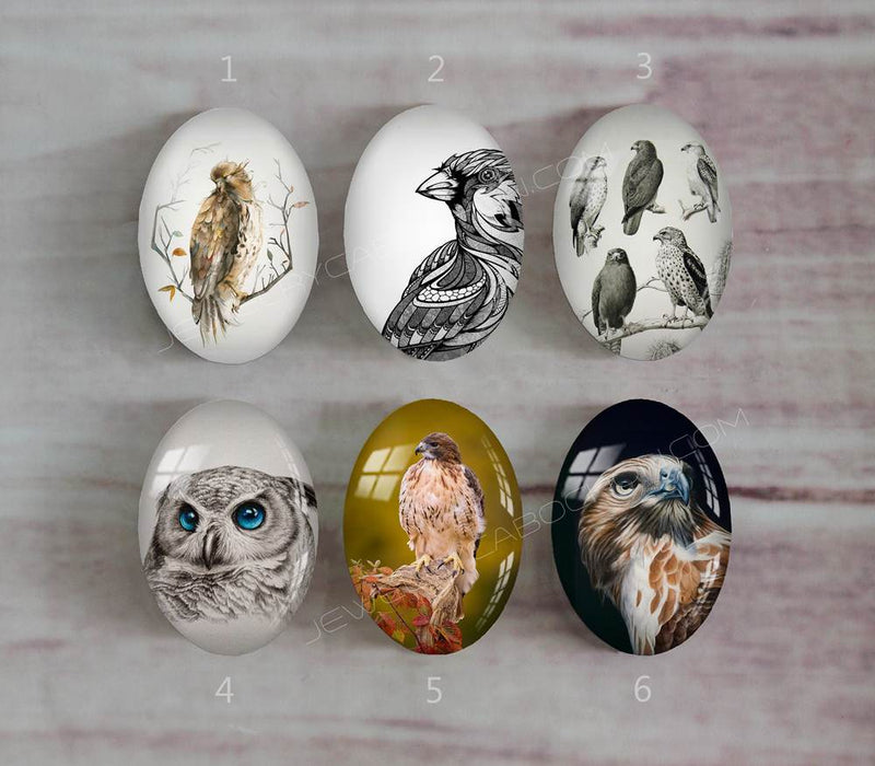Handmade oval Photo Glass Cabochons animal eagle A495