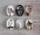 Handmade oval Photo Glass Cabochons animal eagle A497