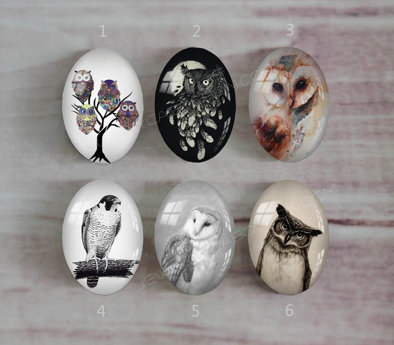Handmade oval Photo Glass Cabochons animal eagle A497