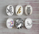 Handmade oval Photo Glass Cabochons animal eagle A498