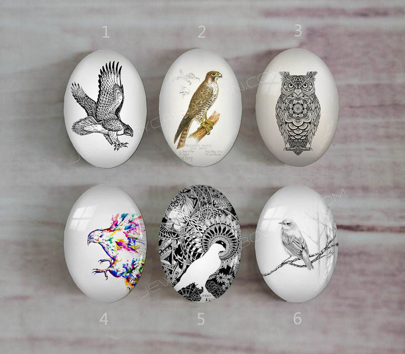 Handmade oval Photo Glass Cabochons animal eagle A498