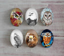 Handmade oval Photo Glass Cabochons animal eagle A500