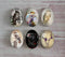 Handmade oval Photo Glass Cabochons animal eagle A501
