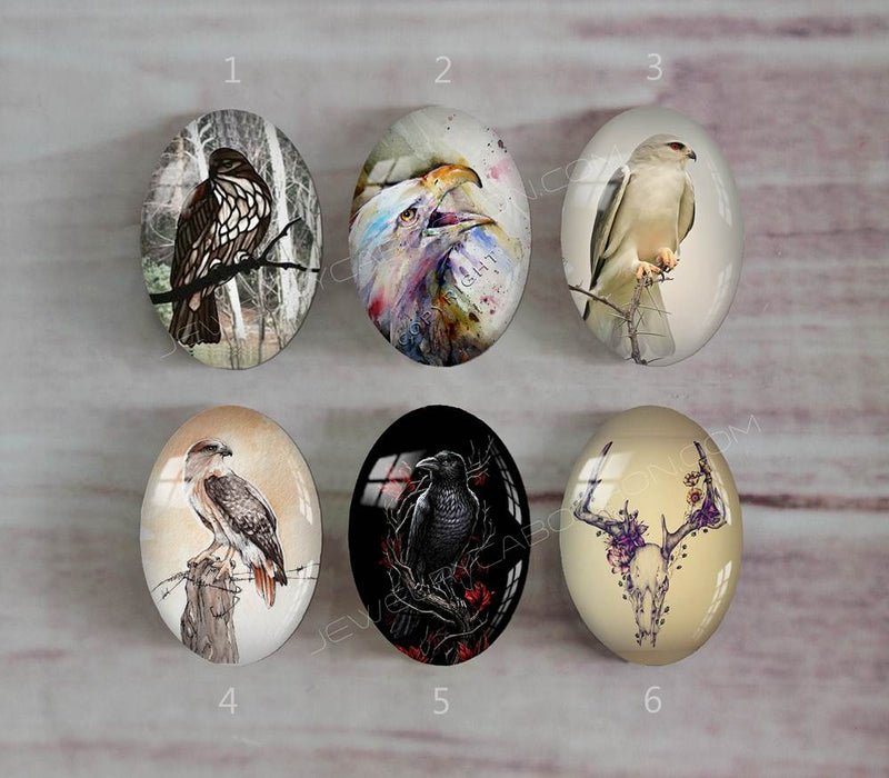 Handmade oval Photo Glass Cabochons animal eagle A501