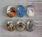 Handmade oval Photo Glass Cabochons animal eagle A502