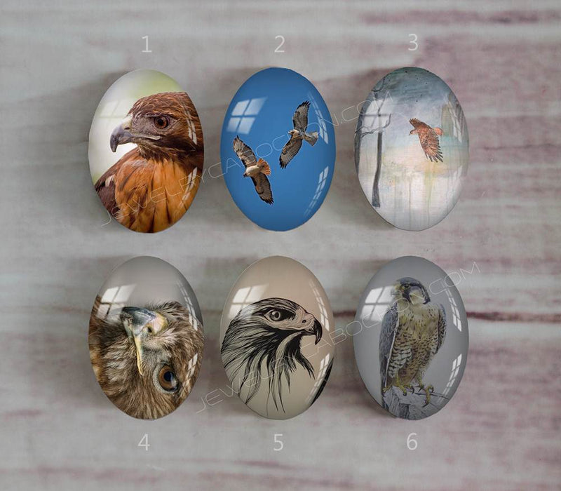 Handmade oval Photo Glass Cabochons animal eagle A502