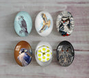 Handmade oval Photo Glass Cabochons animal eagle A506