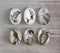 Handmade oval Photo Glass Cabochons animal eagle A507