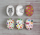 Handmade oval Photo Glass Cabochons animal eagle A508