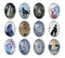 Handmade oval Photo Glass Cabochons animal horse A604