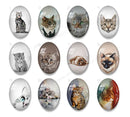 Handmade oval Photo Glass Cabochons animal Cat A605