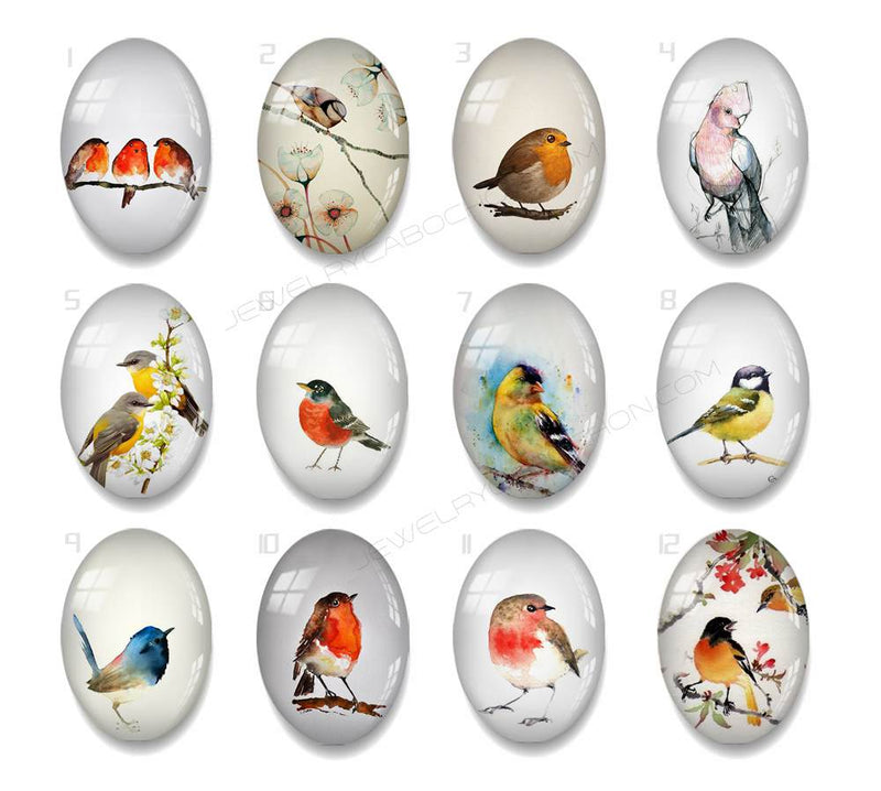 Handmade oval Photo Glass Cabochons animal bird A606