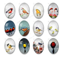 Handmade oval Photo Glass Cabochons animal bird A608
