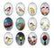 Handmade oval Photo Glass Cabochons animal bird A608