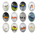 Handmade oval Photo Glass Cabochons animal bird A609