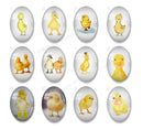 Handmade oval Photo Glass Cabochons Little yellow duck A619