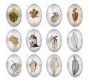Handmade oval Photo Glass Cabochons Leaves A628