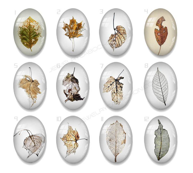 Handmade oval Photo Glass Cabochons Leaves A628