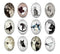 Handmade oval Photo Glass Cabochons animal Cat A657