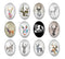 Handmade oval Photo Glass Cabochons animal deer A663