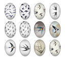 Handmade oval Photo Glass Cabochons animal bird A686