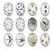 Handmade oval Photo Glass Cabochons animal bird A686