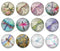 Handmade Round Photo Glass Cabochon dragonfly 1036B
