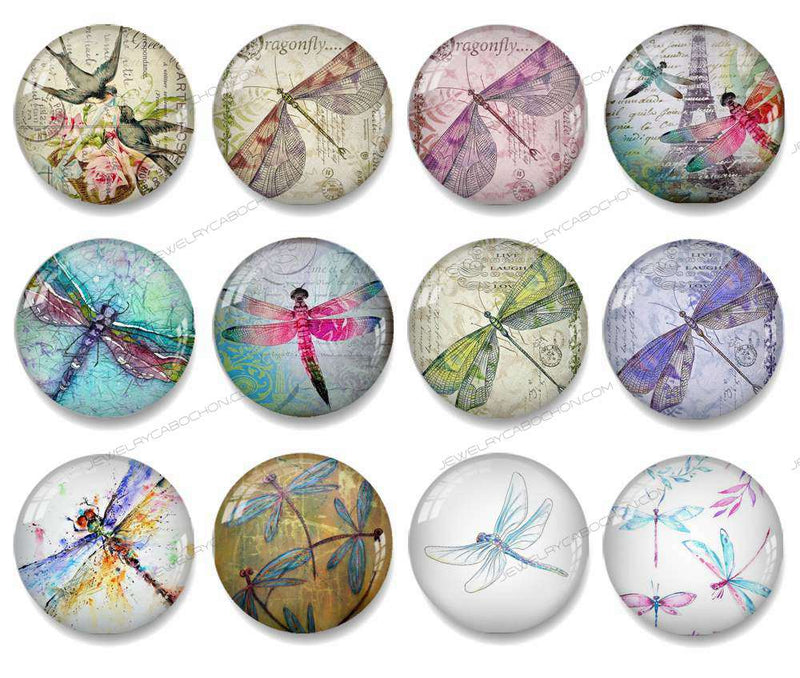 Handmade Round Photo Glass Cabochon dragonfly 1036B