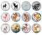 Handmade Round Photo Glass Cabochon deer 1102B