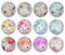 Handmade Round Photo Glass Cabochon flower 1179B